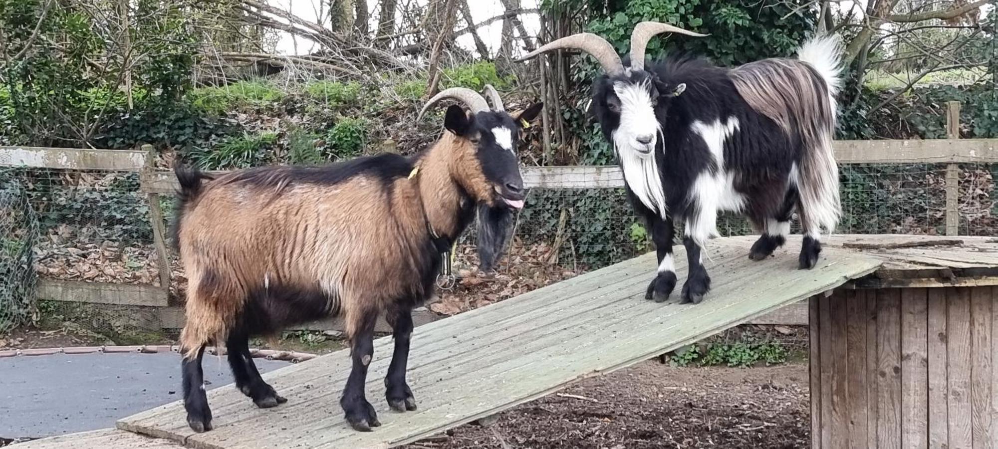 Gites Ferme De La Baie Roz-sur-Couesnon Exterior foto